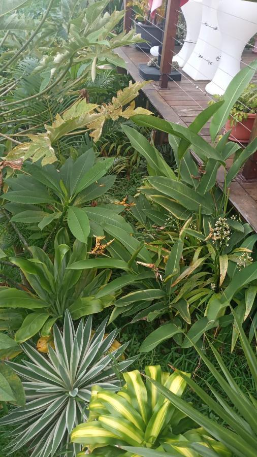 Manava Tahara'A Home Stay Mahina Exteriör bild